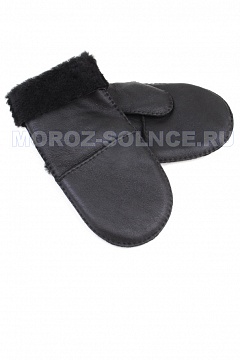 Изображения ТEДДИ 13-O-7